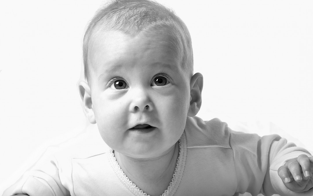 Baby Portraits