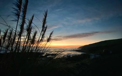 We’ve moved to Cornwall